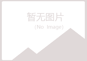 重庆南岸夏岚能源有限公司